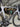 Pinarello Dogma F12 Carbon - Shimano Ultegra Di2 2x12sp - Mavic cosmic pro carbon wheelset