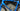 Giant TCR Advanced 1 2013 - Shimano Ultegra - Giant P-SL1 WheelSystem