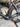 Specialized S-Works Venge Carbon - SRAM Red eTap - ZIPP 303 NSW carbon