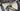 Specialized S-Works Tarmac SL7 - Shimano Ultegra Di2 - Roval Alpinist carbon wheelset