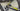 Ridley Fenix Carbon - Shimano Ultegra - Vision 40 Trimax carbon