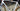 Scott Addict 20 Carbon - Shimano 105 - Aluminium
