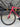 Giant TCR Carbon - Shimano 105 Di2 2x12sp - Carbon/alu wheelset