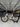 BMC Teammachine R01 Carbon - Shimano Ultegra Di2 2x12sp - BMC CR 50 SL carbon