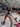 Specialized S-Works Tarmac SL7 - Shimano Dura-Ace Di2 2x12sp - Gipiemme Carbon