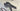 Pinarello F5 Carbon - Shimano 105 Di2 2x12sp - Ere Research Omnia II CLR45