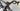 Trek Emonda SLR Carbon - SRAM Rival AXS 2x12sp - Bontrager Aeolus carbon wheelset