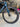Sensa Giulia GF Carbon - Shimano Ultegra Di2 2x12sp - Supra RFC 50 Elite