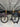 Eddy Merckx 525 Carbon - SRAM Rival AXS 2x12sp - Giant SLR1 Carbon