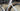 Specialized S-Works Venge - SRAM Red eTap 2x11sp - 9th Wave carbon wheelset