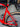 Wilier Cento1NDR Carbon - SRAM Force AXS 2x12sp - Miche carbon wheelset