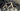 Specialized S-Works Tarmac SL7 - SRAM Force AXS 2x12sp - Roval Rapide carbon wheelset