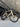 Specialized S-Works Tarmac SL7 - SRAM Force AXS 2x12sp - Roval Rapide carbon wheelset