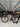 Ridley Fenix SL - Shimano Ultegra - Forza carbon wheelset