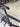 Trek Emonda SLR Carbon - SRAM Rival AXS 2x12sp - Bontrager Aeolus carbon wheelset
