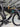 Liv EnviLiv Carbon - SRAM Red eTap - Capital 1.0 Carbon