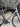 Scott Addict 10 - Shimano Ultegra - Aluminium
