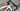 Wilier Filante SL Di2 - Shimano 105 Di2 - Vision 40 Carbon