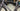 Giant TCR Advanced SL - SRAM Force AXS 2x12sp - Giant SLR1 carbon wheelset