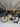 BMC Teammachine SLR - Shimano 105 - Mavic open pro