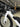 BMC Speedmachine 01 Four Di2 Carbon TT - Shimano 105 Di2 - FFWD Ryot carbon wheelset