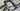 Specialized Roubaix Expert 2020 - Shimano Ultegra - Roval C 38 Disc