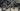 Trek Emonda SLR Carbon - SRAM Rival AXS 2x12sp - Bontrager Aeolus carbon wheelset