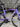 Pinarello F5 Carbon - Shimano 105 Di2 2x12sp - Ere Research Omnia II CLR45