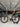 Trek Madone SLR Carbon - Shimano 105 Di2 2x12sp - Bontrager Aeolus carbon wheelset