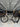 BMC Teammachine SLR01 Di2 Carbon - Shimano Ultegra Di2 - BMC CRD321 carbon wheelset