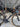 Specialized Tarmac SL6 - Shimano Ultegra Di2 2x12sp - Roval Carbon