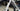 Giant TCR Advanced SL 0 2014 - Shimano Dura-Ace Di2 2x12sp - Giant P-SLR1 WheelSystem