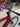 Wilier Filante SLR - Shimano Ultegra Di2 2x12sp - DT Swiss ARC 1400