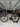 Specialized S-Works Roubaix - SRAM Red eTap - Carbon wheelset