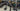 Giant TCR Advanced SL - SRAM Force AXS 2x12sp - Giant SLR1 carbon wheelset