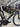 Cannondale SuperSix EVO Carbon - Shimano 105 Di2 - Hollowgram