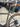 Specialized Crux Expert 2025 - Sram Rival eTap AXS 1x12sp - Roval Terra C