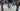 Canyon Ultimate CF SL - Shimano Ultegra - FFWD carbon wheelset
