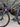 Cannondale Supersix HM Rapha Edition - Shimano 105 Di2 2x12sp - Hollogram HG 35 Carbon