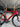 Wilier Filante SLR - Shimano Ultegra Di2 2x12sp - DT Swiss ARC 1400