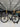 Liv EnviLiv Carbon - SRAM Red eTap - Capital 1.0 Carbon