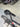 Colnago V3 Di2 UAE Team Carbon - Shimano Ultegra Di2 - Campagnolo Bora WTO carbon wheelset