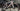 Specialized Aethos Comp AXS - SRAM Rival AXS 2x12sp - CRD-351 carbon wheelset
