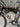 Focus Izalco Max - SRAM Red eTap - Zipp 303S