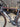 BMC Teammachine SLR ONE - SRAM Force AXS 2x12sp - BMC CRD351 carbon