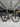 Liv EnviLiv Carbon - SRAM Red eTap - Capital 1.0 Carbon
