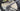 Specialized S-Works Venge - SRAM Red eTap - Dt Swiss ARC 1400 dicut carbon