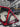 Trek Emonda SL6 Di2 Carbon - Shimano 105 Di2 - Bontrager Aeolus carbon wheelset