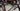 Specialized Roubaix Comp - SRAM Rival AXS 2x12sp - Ere Research Omnia II CLR45
