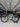 Canyon Grail CF SLX 8 2022 - Shimano GRX DI2 - DT Swiss GRC1400 Spline db | DT Swiss GRC1400 Spline db SH11